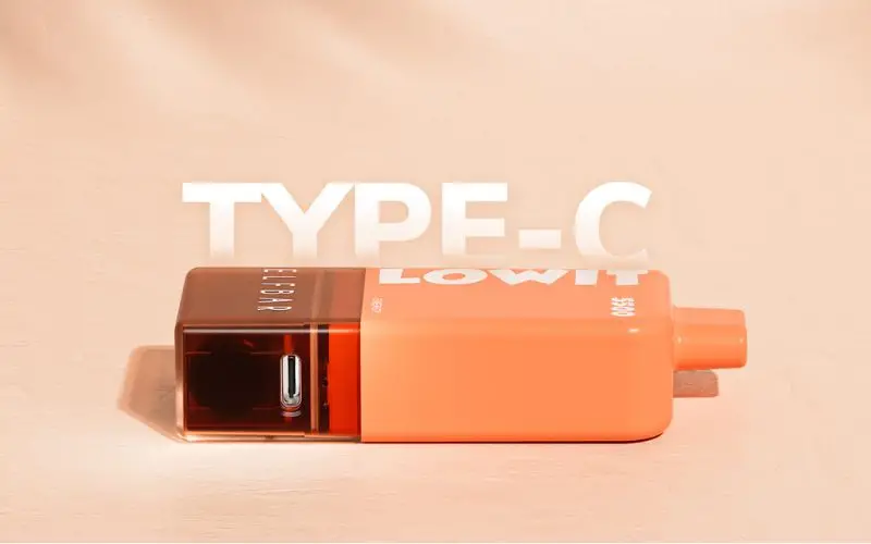 Elfbar Lowit 5500 Review: A Comprehensive Pod Vape Analysis ElfBar Lowit 5500 Review: Battery Life And Charging