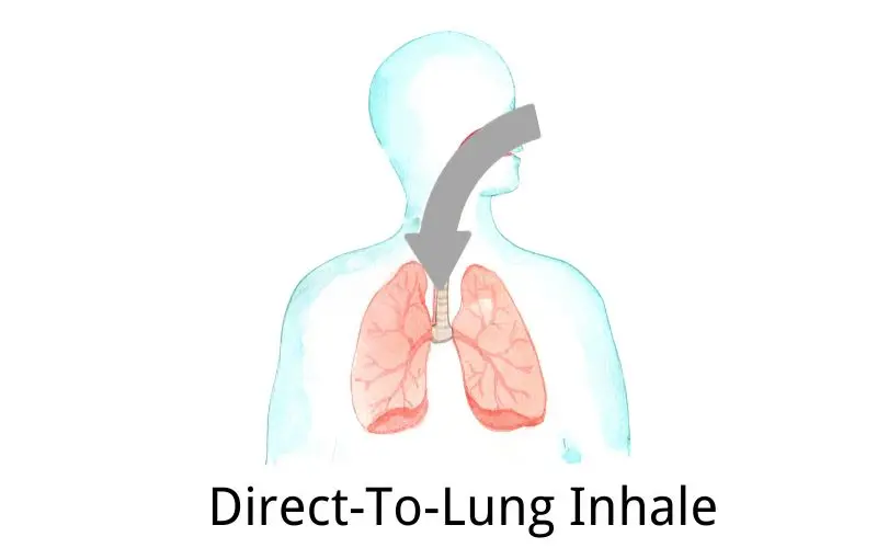 Direct-To-Lung Inhale: Large Cloud And Rich Flavour