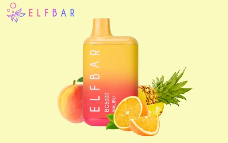 Best Elf Bar 5000 Flavours: Elf Bar Malibu Flavour