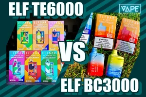 Disposable Vape Online Store - Vapepenzone ElfBar BC3000 VS ElfBar TE6000