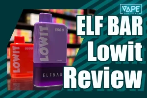 Disposable Vape Online Store - Vapepenzone ElfBar Lowit 5500 Review