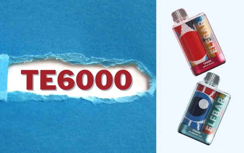 Elfbar Bc3000 Vs Elfbar Te6000: 3 Minutes To Know Winner ElfBar TE6000 Display