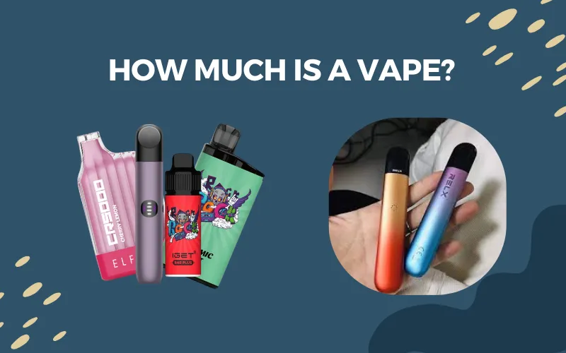 How Much Is A Vape In 2023? A Detailed Vape Price List how much are these vapes