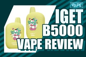 Disposable Vape Online Store - Vapepenzone | Vapepenzone Australia Vape Shop IGET B5000 Review: Greate Flavour And Longer Life