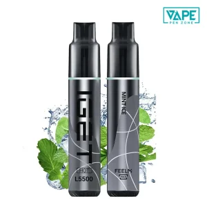mint ice iget hot l5500 puffs