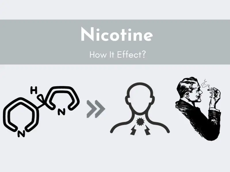 Understanding The 5 Relx Pod Ingredients: A Comprehensive Guide RELX Pod ingredients: Nicotine