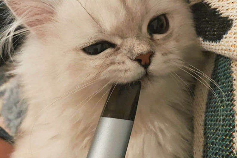 Relx Vapers: What They Can Do? | VapePenZone Australia Vape Shop