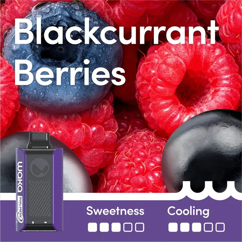Blackcurrant Berries Flavour - WAKA soPro PA10000 Vape