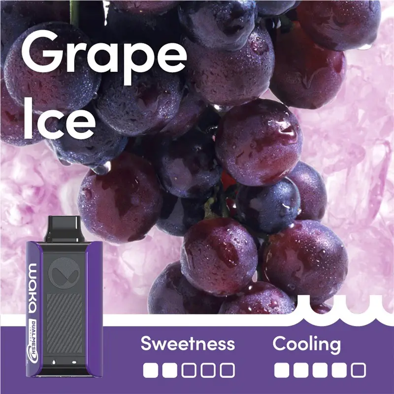 Grape Ice Flavour - WAKA soPro PA10000 Vape