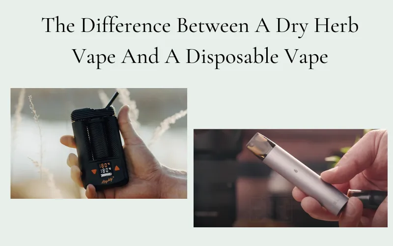The Difference Between A Dry Herb Vape And A Disposable Vape