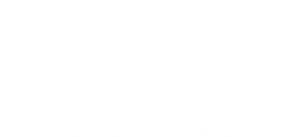 vapepenzone logo white