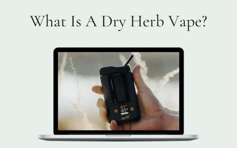 What Is A Dry Herb Vape