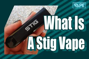 Disposable Vape Online Store - Vapepenzone what is a Stig Vape